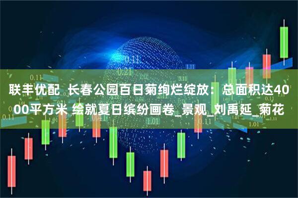 联丰优配  长春公园百日菊绚烂绽放：总面积达4000平方米 绘就夏日缤纷画卷_景观_刘禹延_菊花