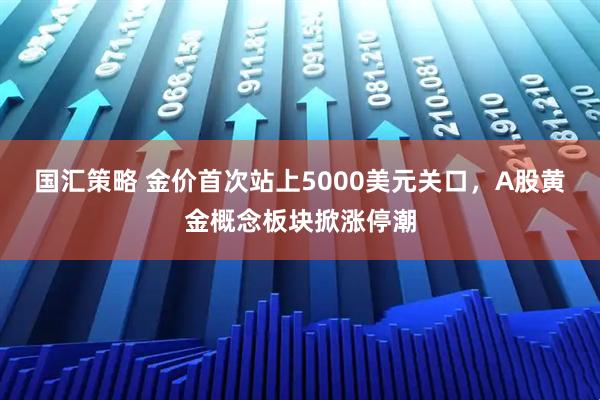 国汇策略 金价首次站上5000美元关口，A股黄金概念板块掀涨停潮